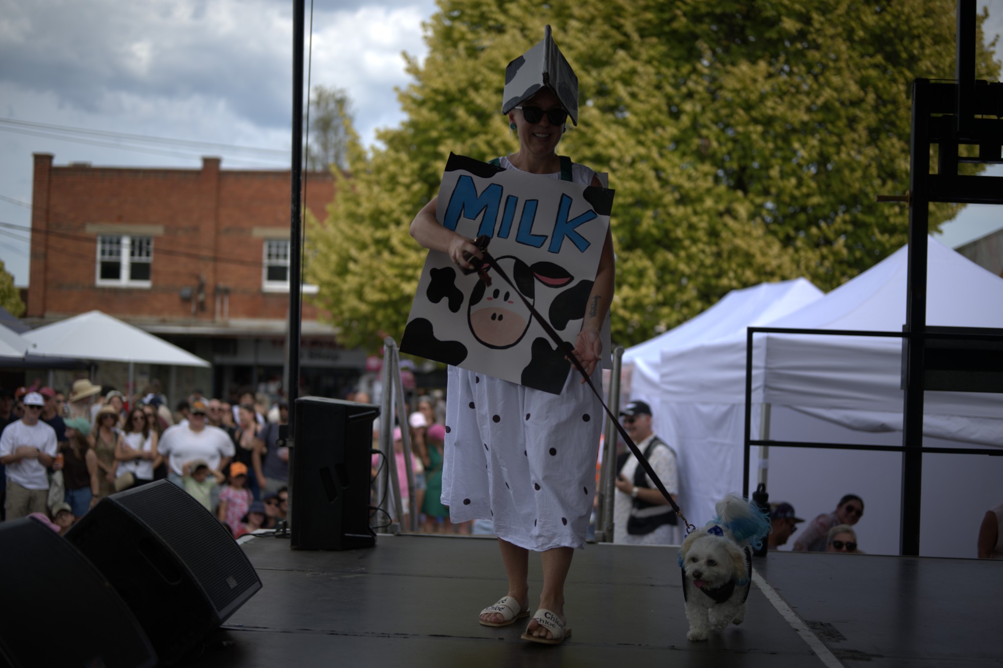 Sean Miller Yarraville Festival