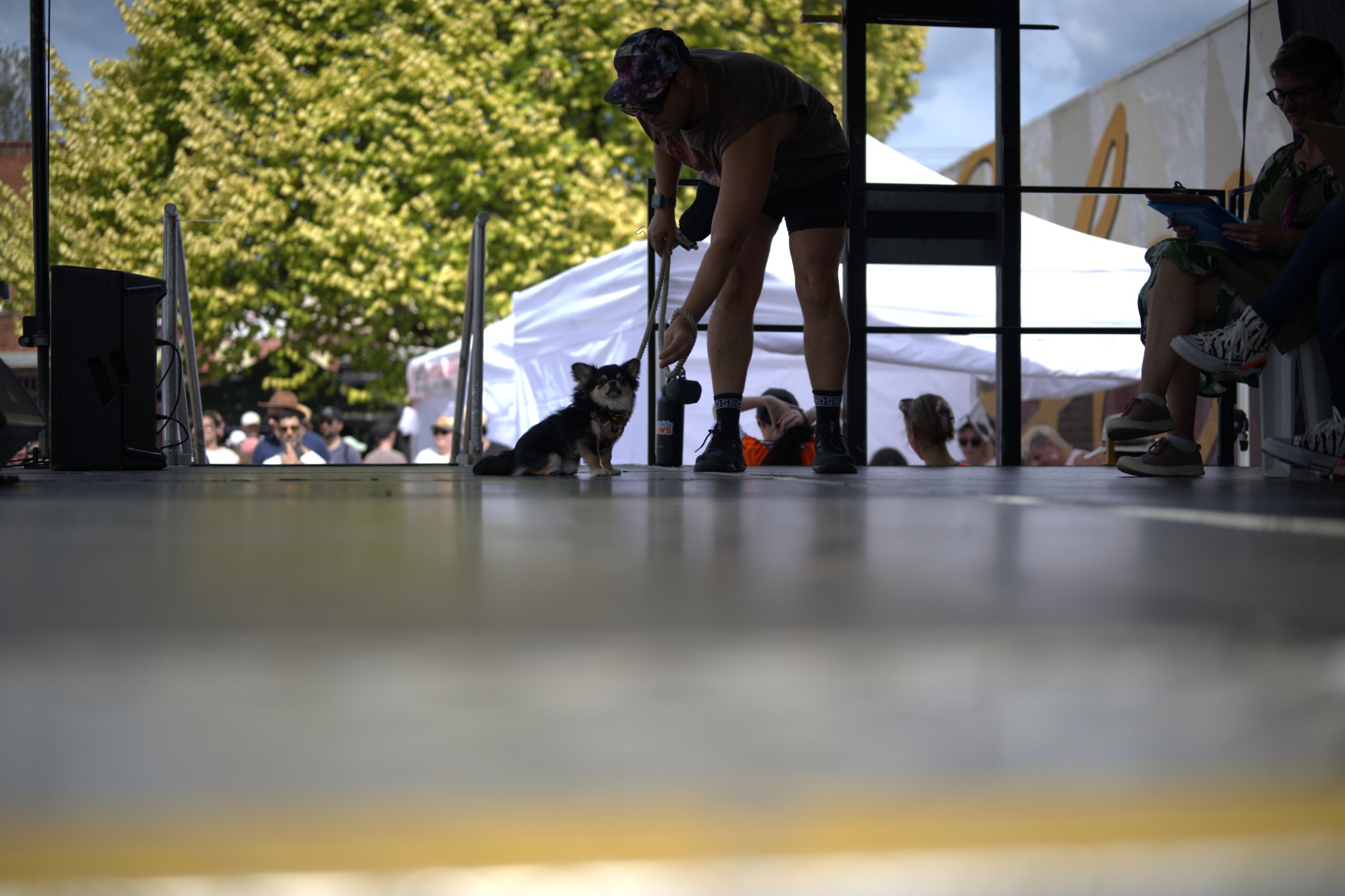 Sean Miller Yarraville Festival