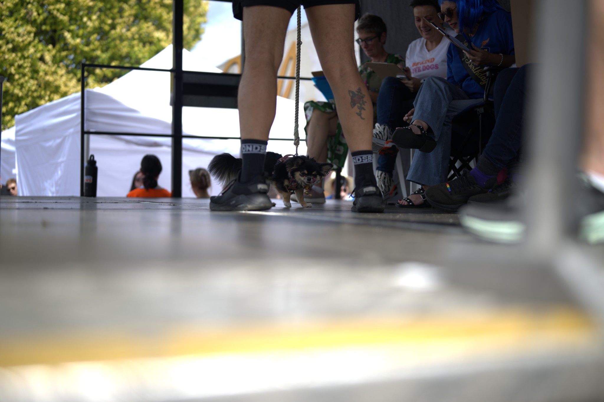 Sean Miller Yarraville Festival