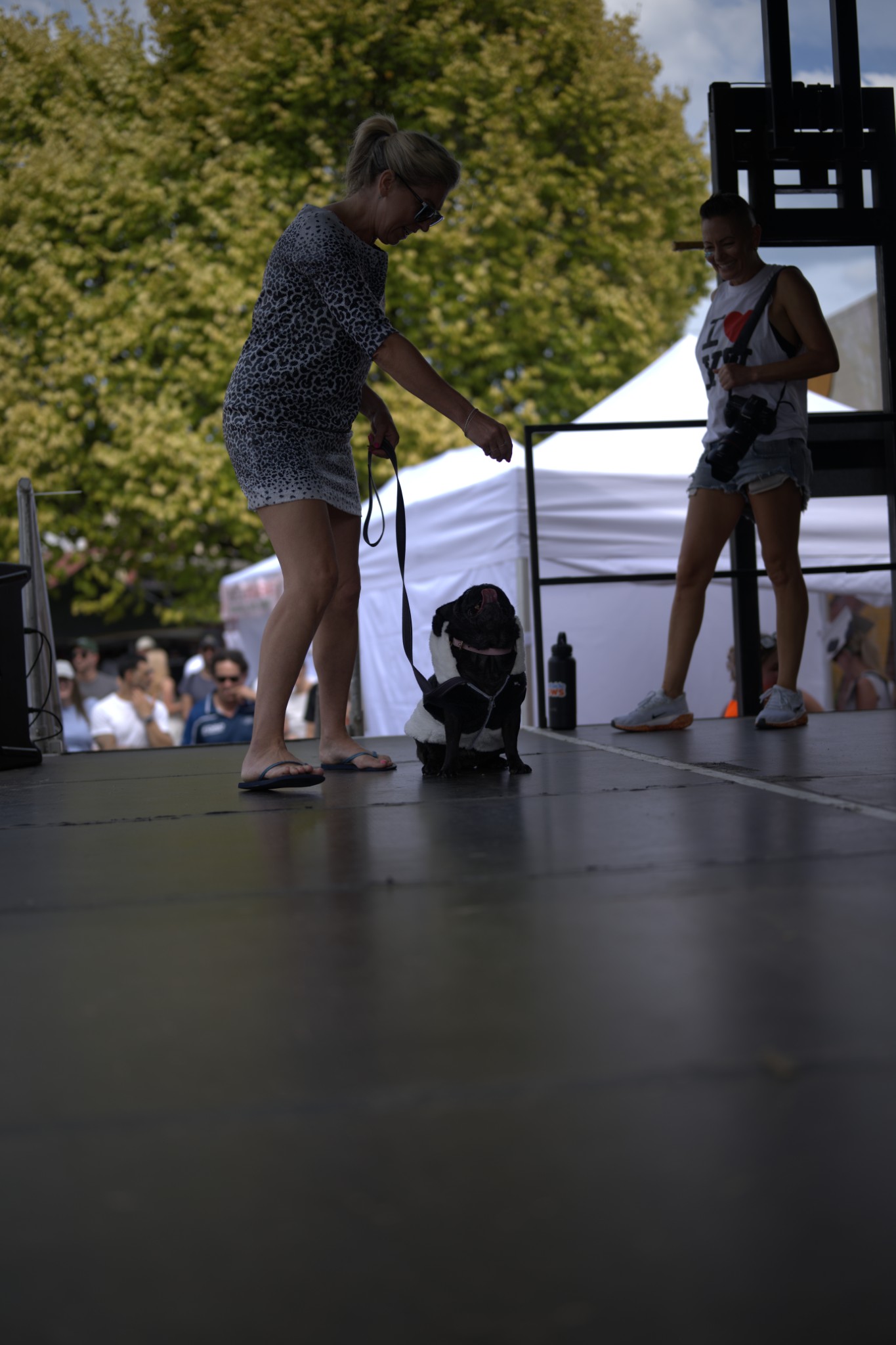 Sean Miller Yarraville Festival