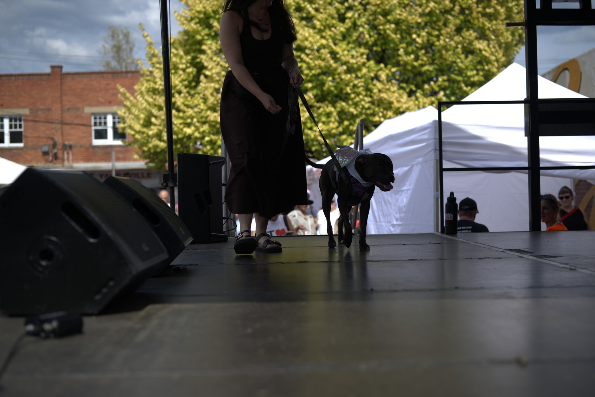 Sean Miller Yarraville Festival