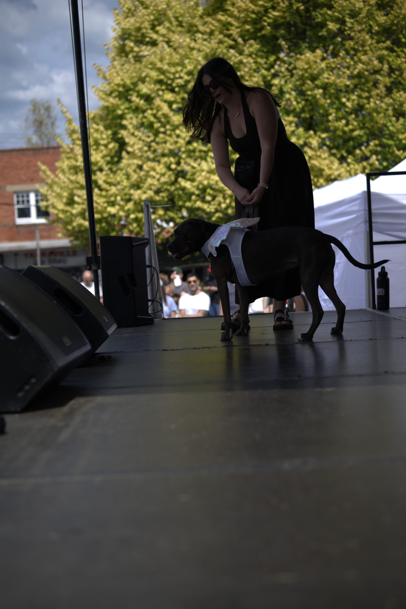 Sean Miller Yarraville Festival