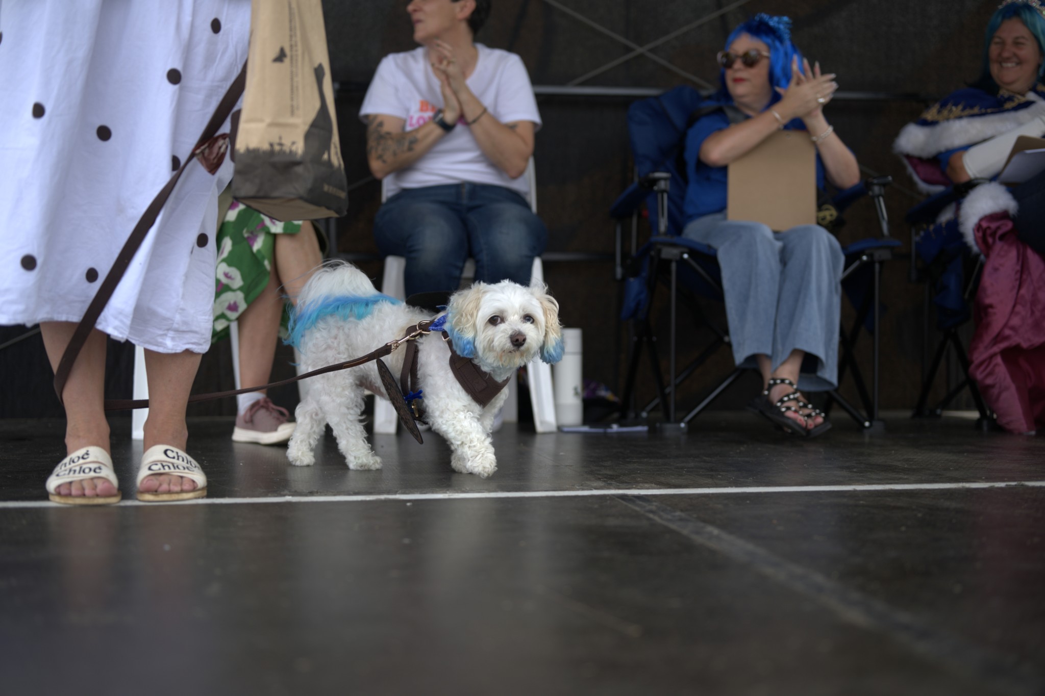 Sean Miller Yarraville Festival