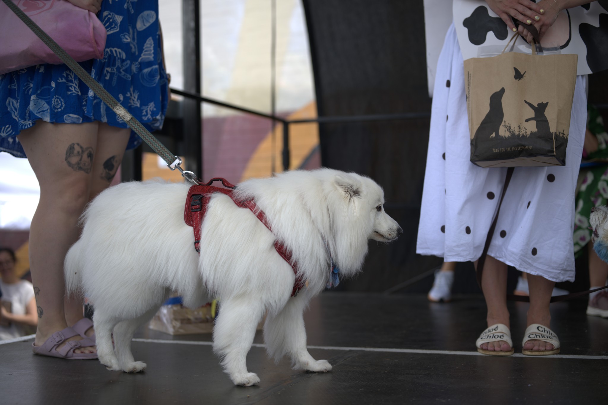 Sean Miller Yarraville Festival