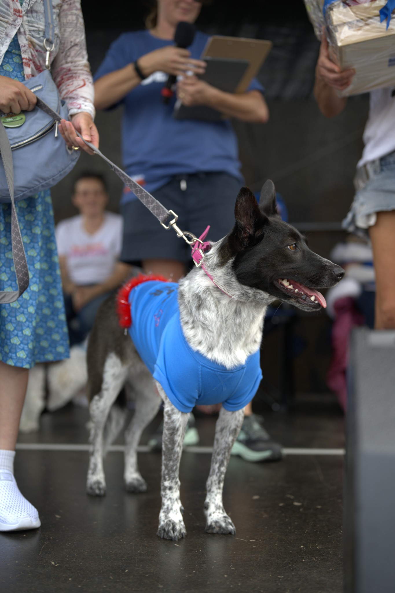 Sean Miller Yarraville Festival