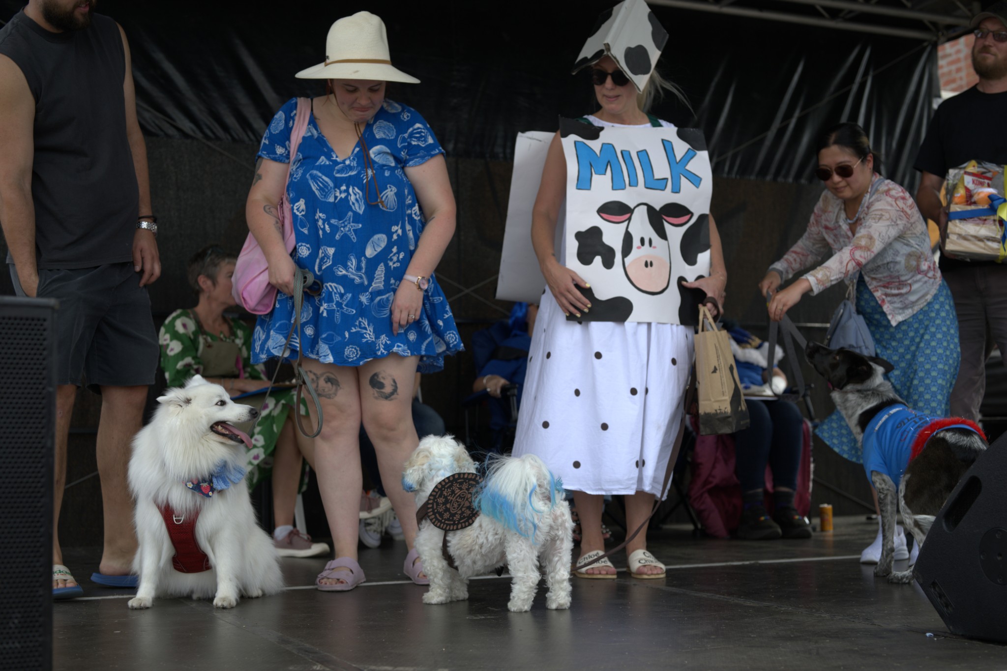 Sean Miller Yarraville Festival