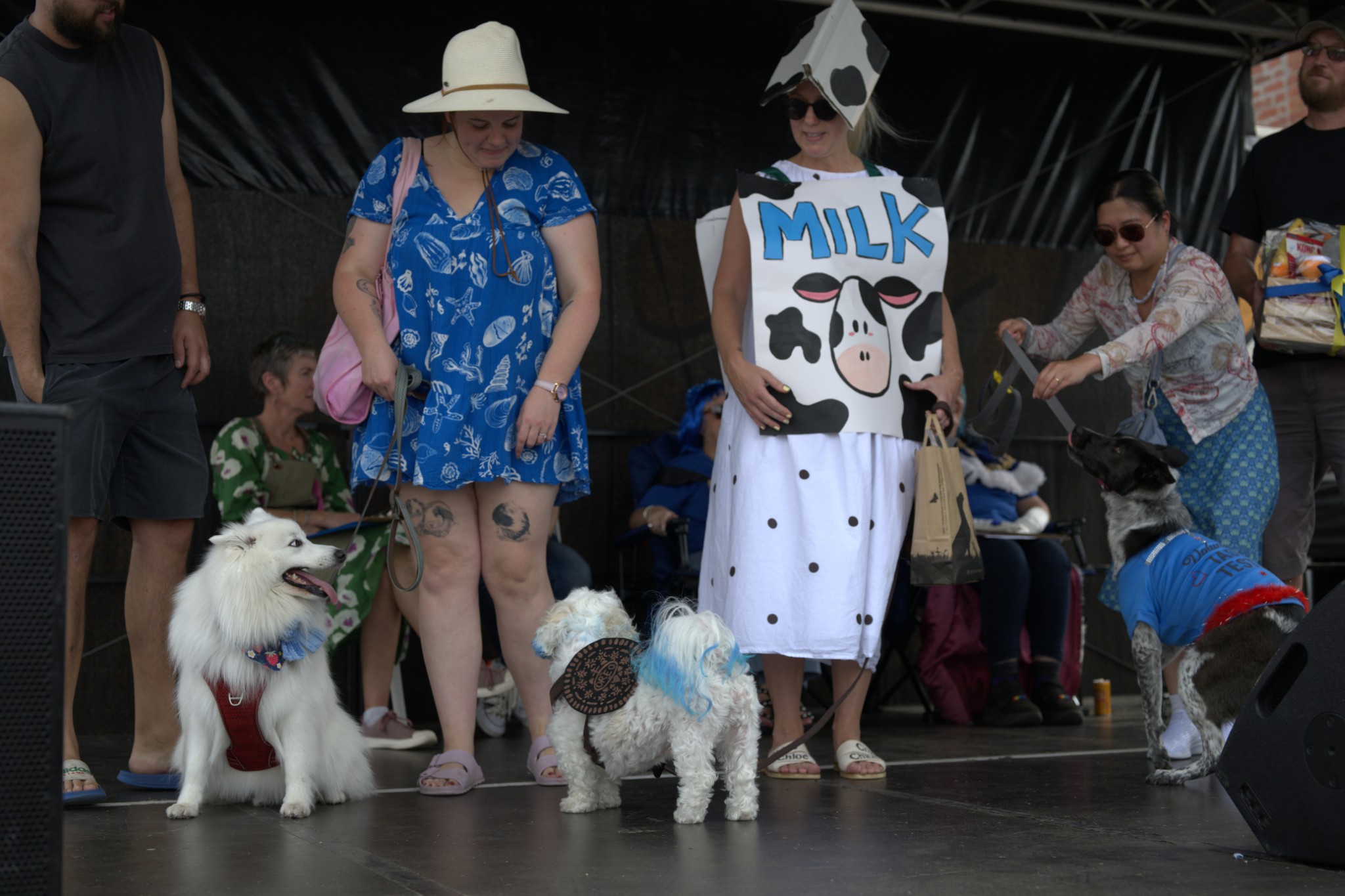 Sean Miller Yarraville Festival